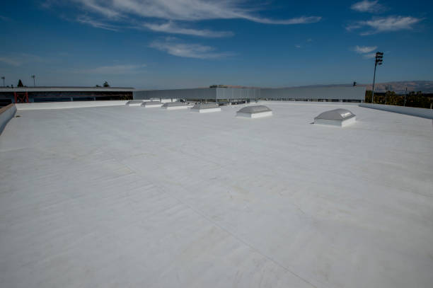 Best 4 Ply Roofing  in Morenci, MI