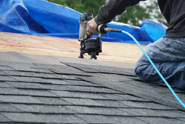 Best Sheet Metal Roofing  in Morenci, MI