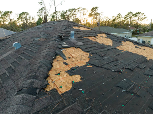 Best Roof Coating and Sealing  in Morenci, MI